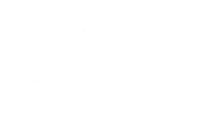 سیمولایز - سنجش واکنش پیش از هر کنش